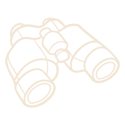 notrace-binoculars-logo-icon-tan binoculars illustrated as a line drawing icon